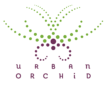 The Urban Orchid